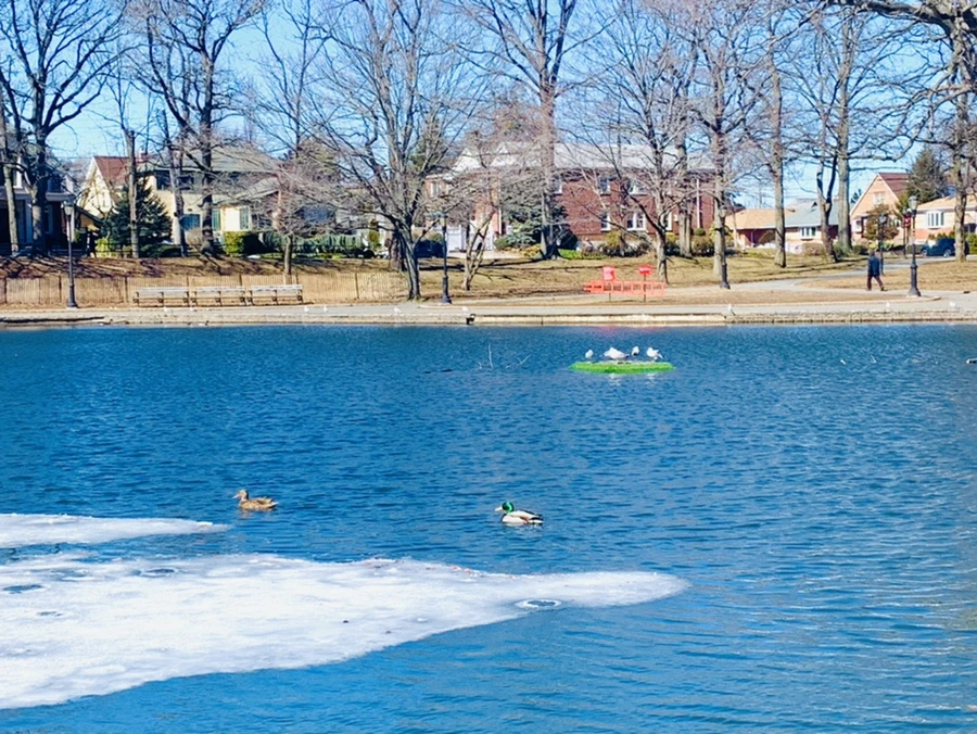 IMG_6608.jpg?type=w966