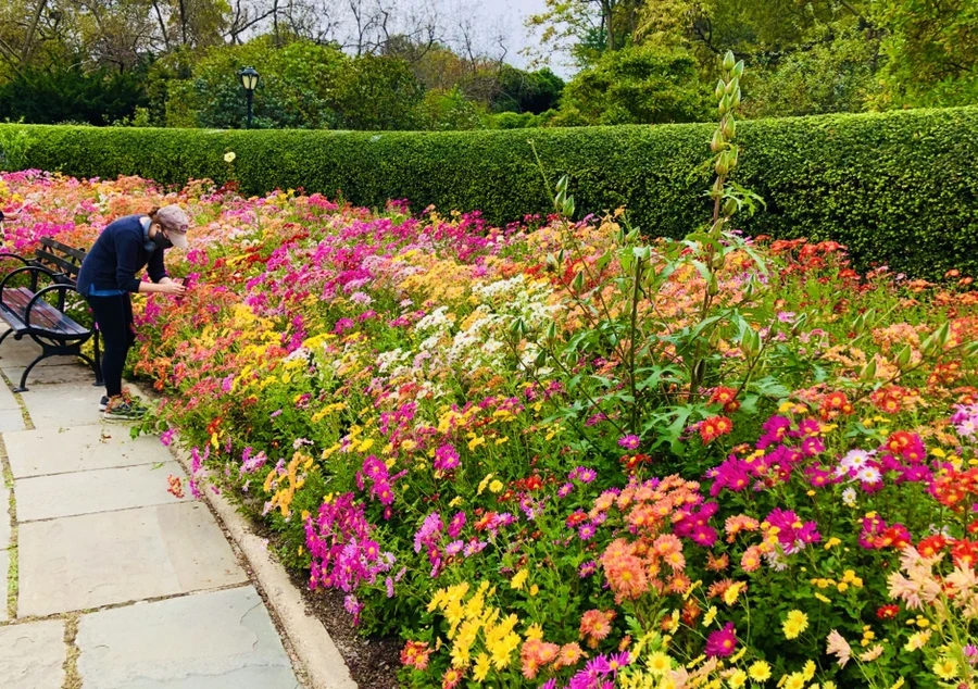 IMG_2526.jpg?type=w966