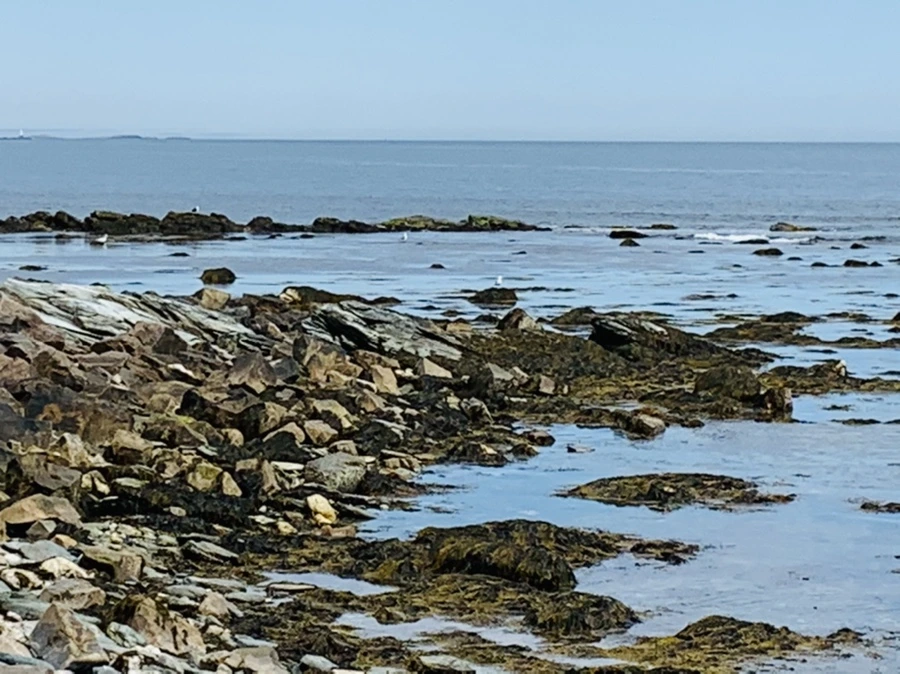 IMG_2774.jpg?type=w966