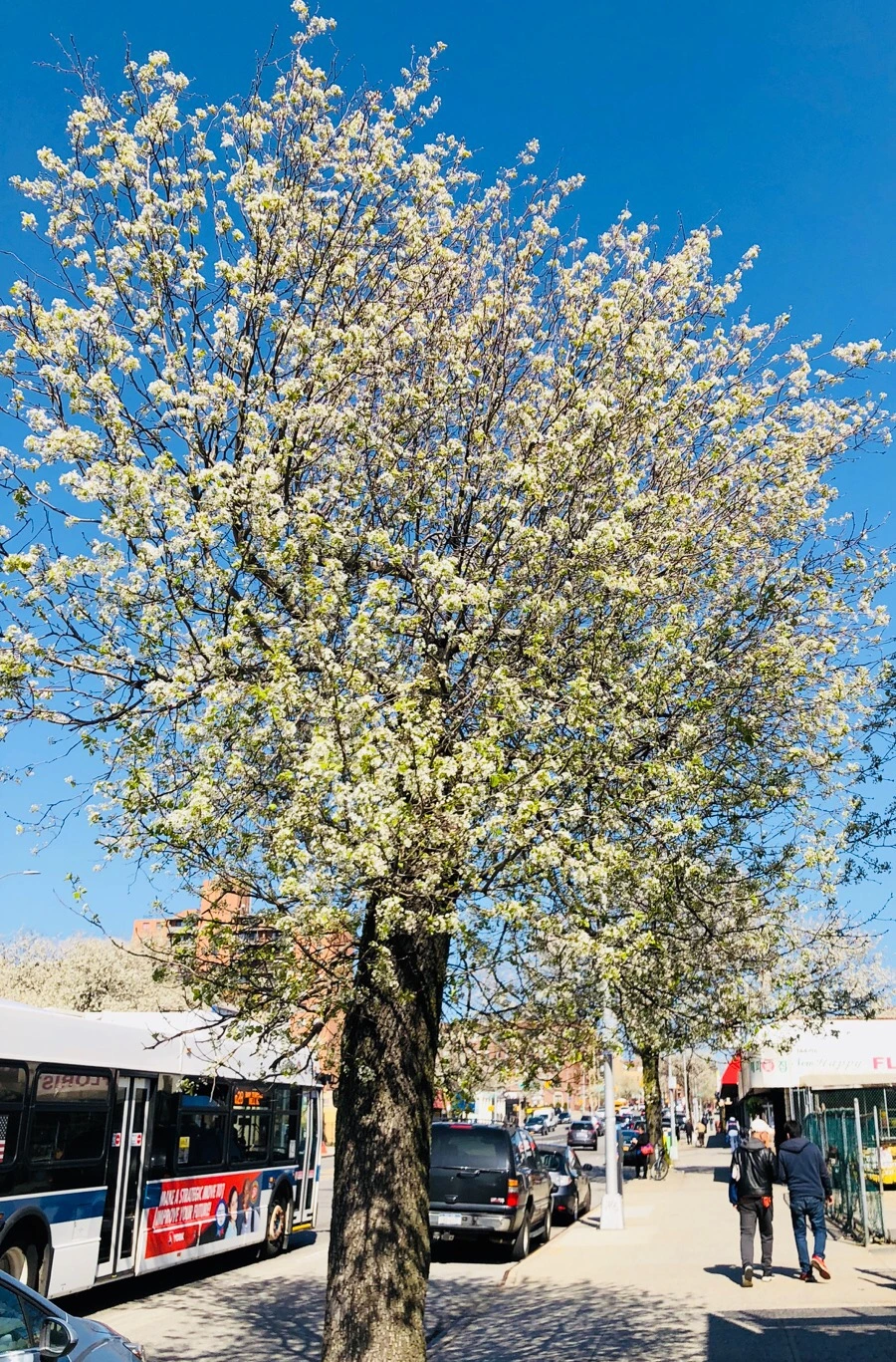 IMG_4600.jpg?type=w966