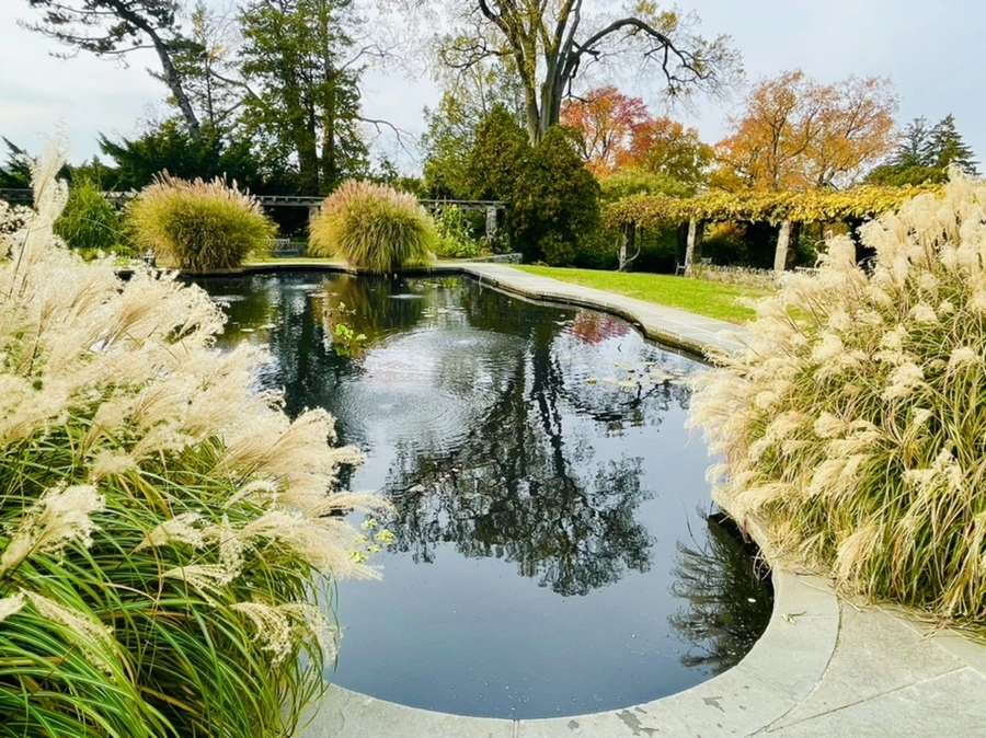 IMG_2387.jpg?type=w966