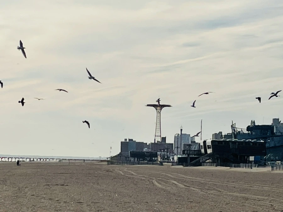 IMG_5064.jpg?type=w966