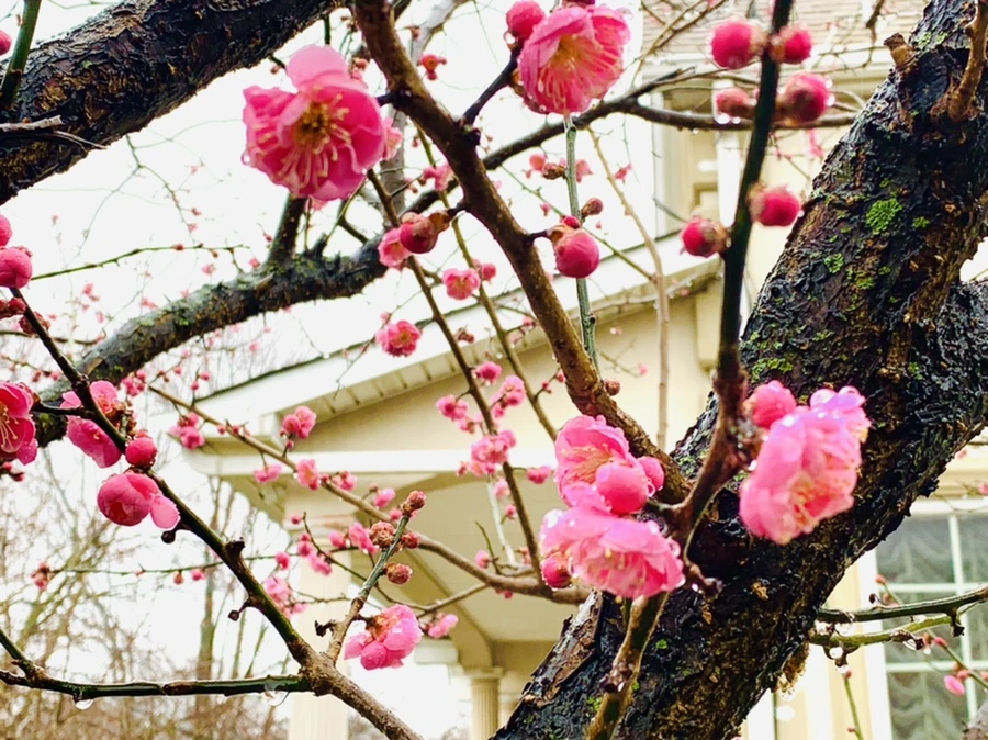 IMG_2033.jpg?type=w966