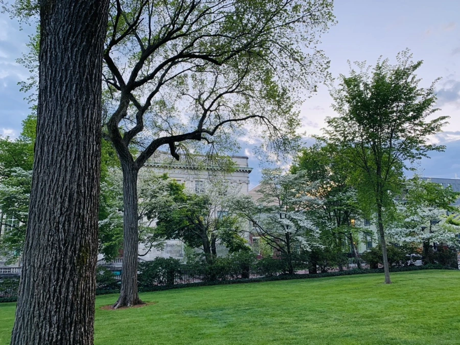 IMG_2557.jpg?type=w966