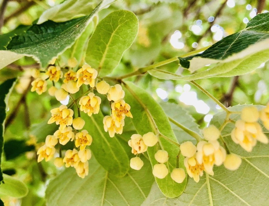 IMG_0571.jpg?type=w966