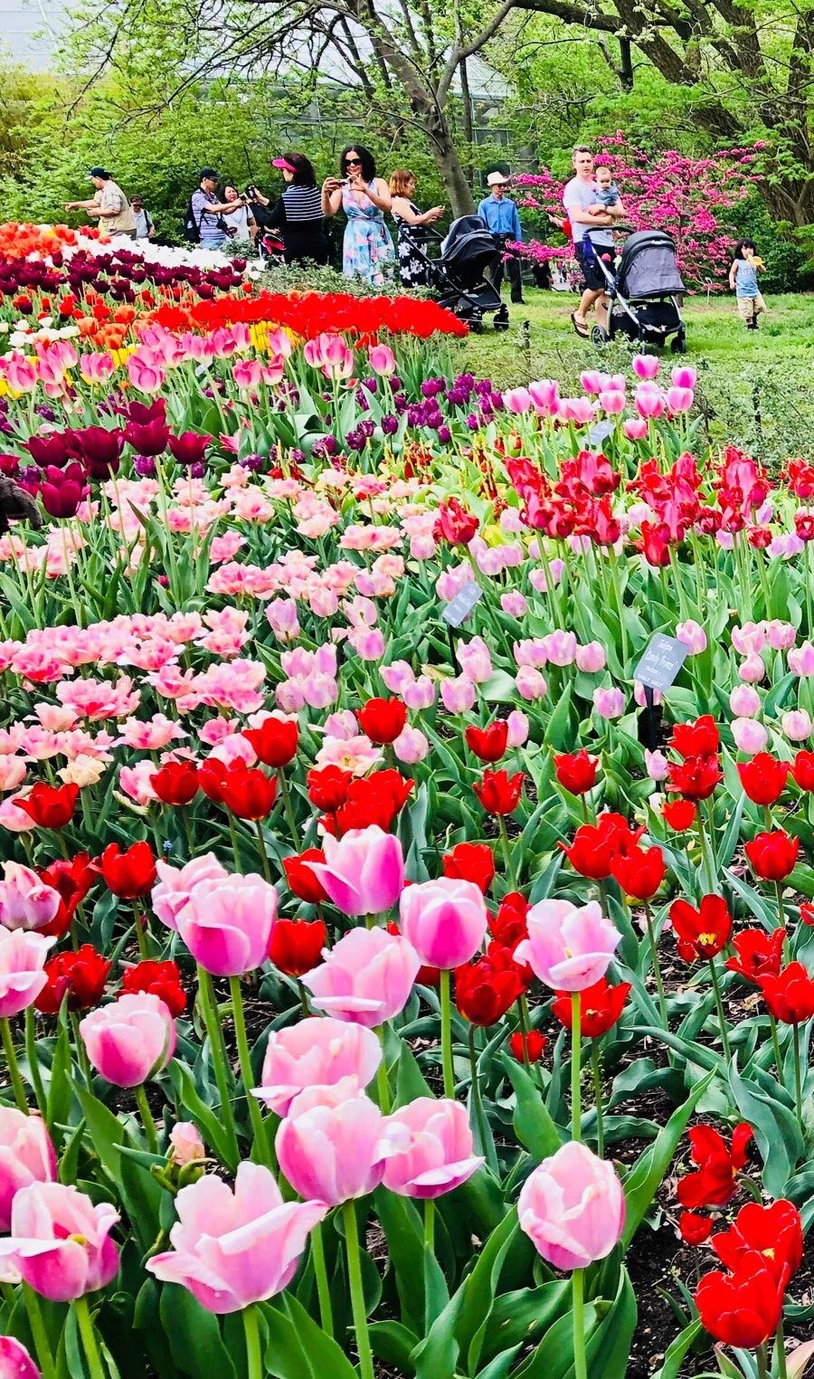 IMG_5512.jpg?type=w966