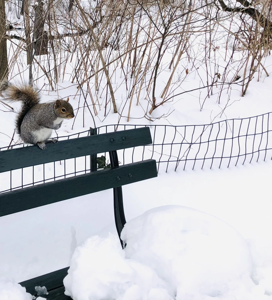 IMG_9512.jpg?type=w966