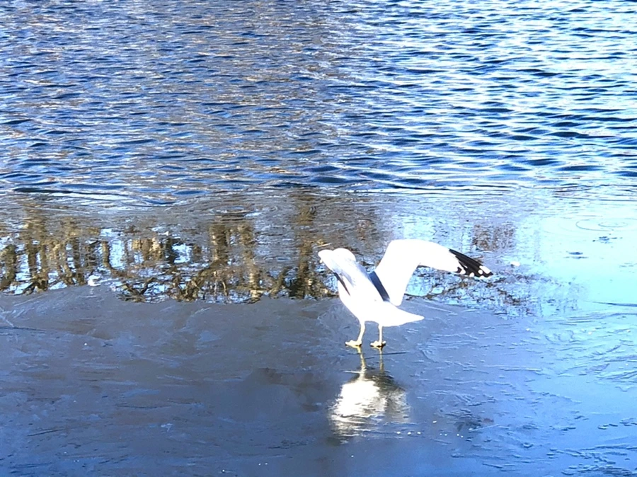 IMG_0575.jpg?type=w966