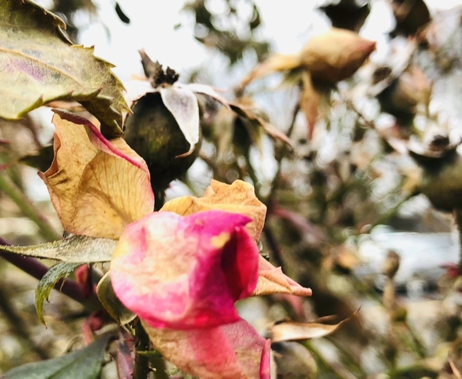 VF0fuaZuJllNHM8VSEMOHfguhqU