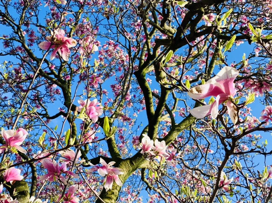 IMG_2686.jpg?type=w966