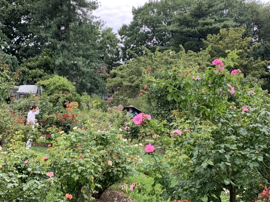 IMG_5081.jpg?type=w966