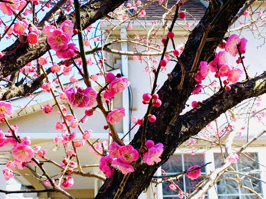 IMG_3002.jpg?type=w966