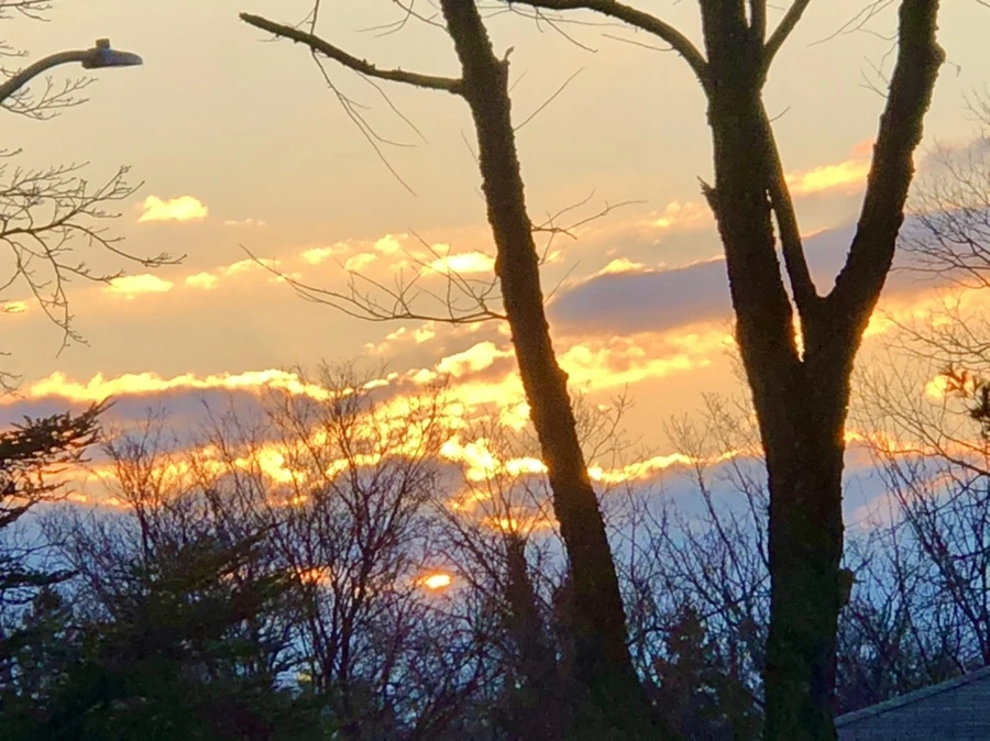 IMG_3067.jpg?type=w966