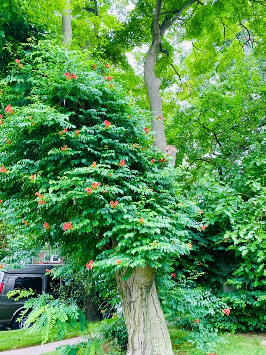 IMG_7123.jpg?type=w966