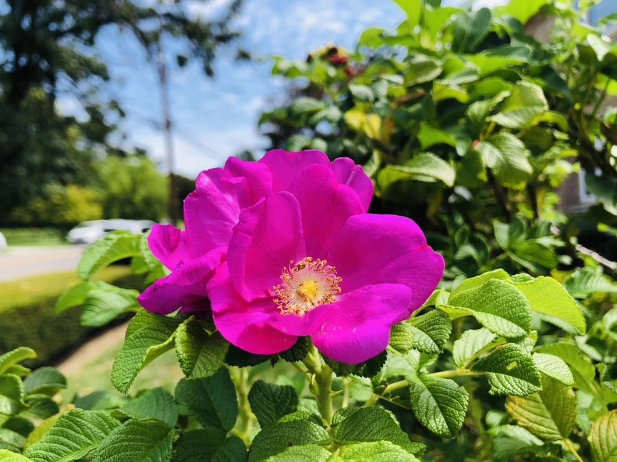 IMG_6969.jpg?type=w966