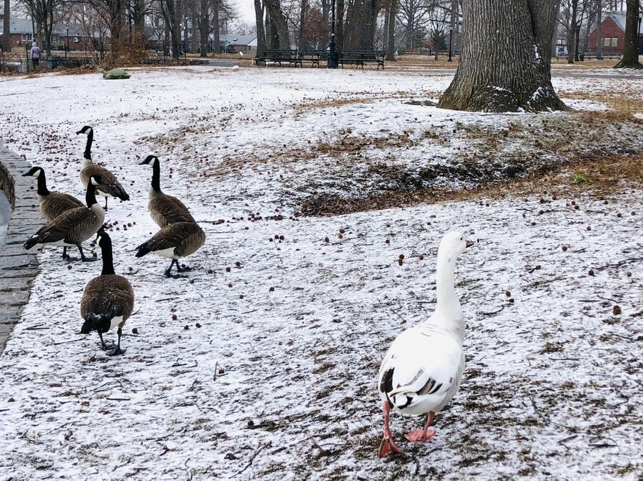 IMG_5919.jpg?type=w966