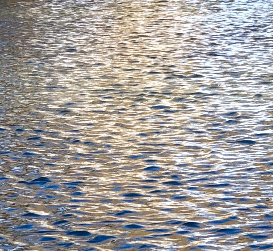 IMG_3891.jpg?type=w966