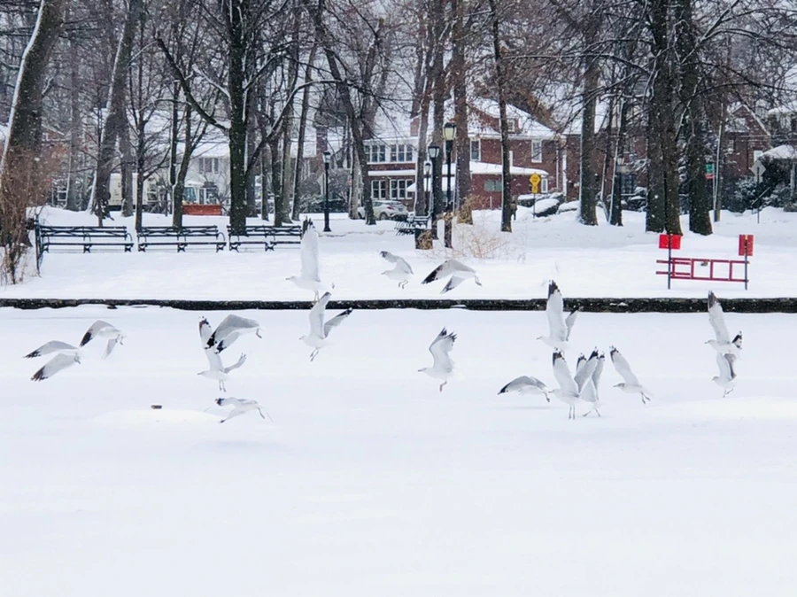 IMG_3672.jpg?type=w966