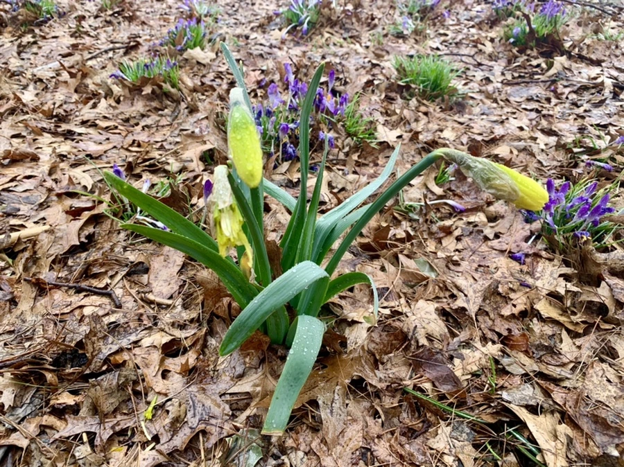 IMG_2152.jpg?type=w966