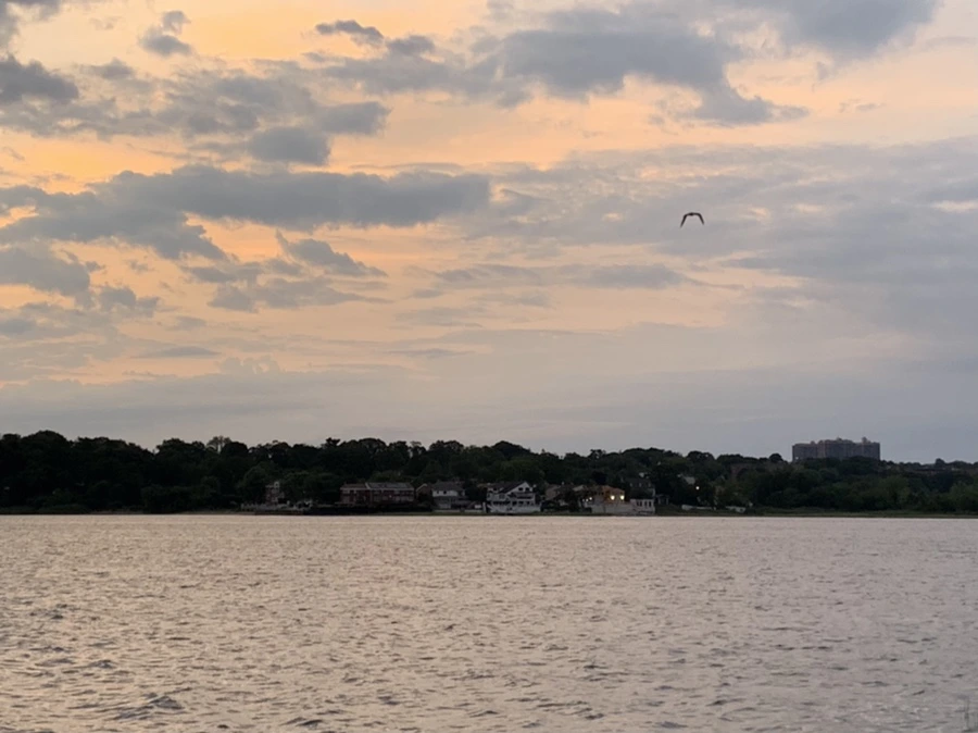 IMG_1655.jpg?type=w966