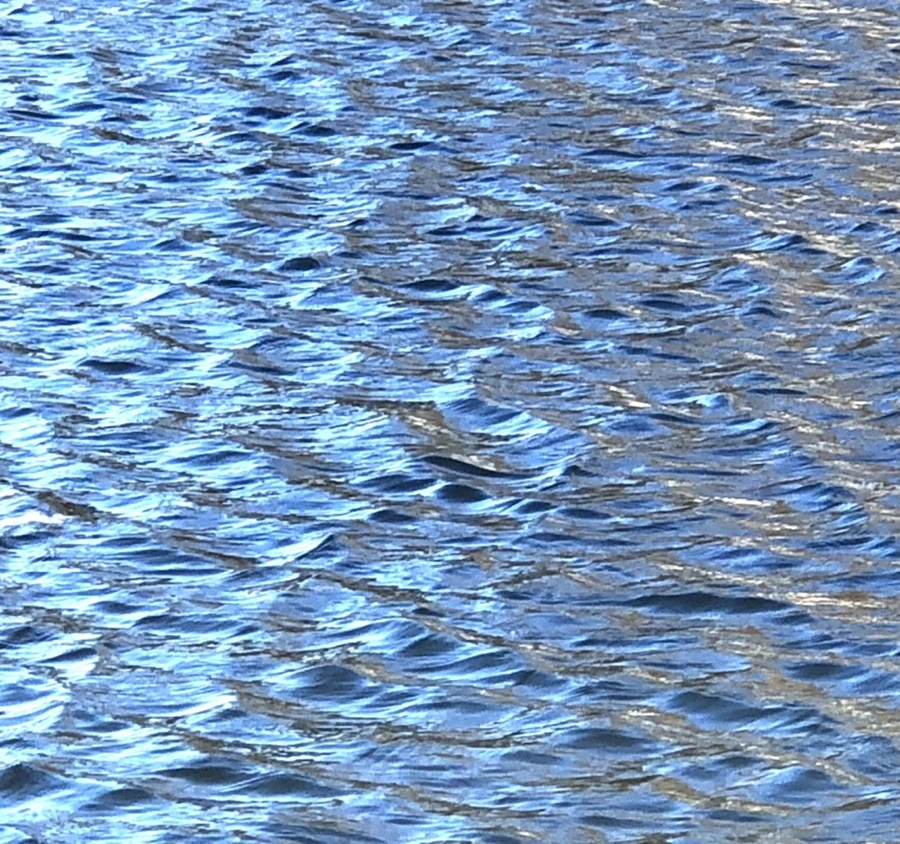 IMG_3887.jpg?type=w966