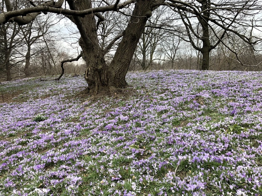 IMG_1988.jpg?type=w966