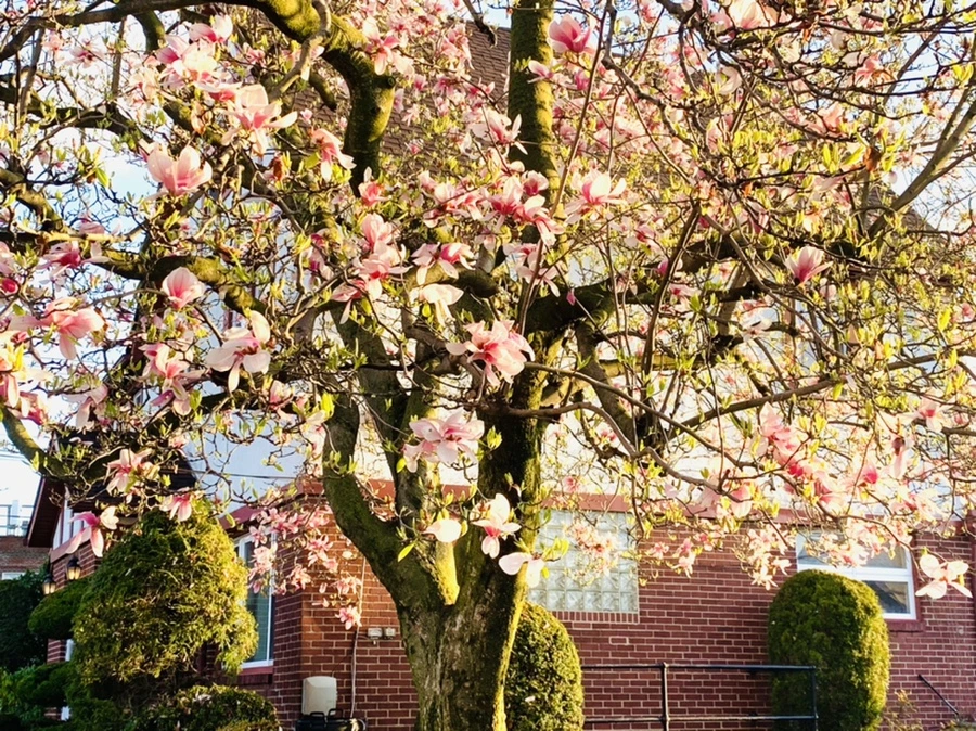 IMG_2433.jpg?type=w966