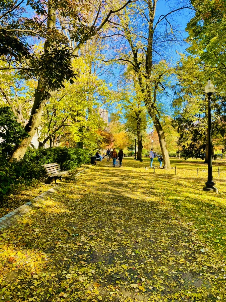 IMG_2611.jpg?type=w966