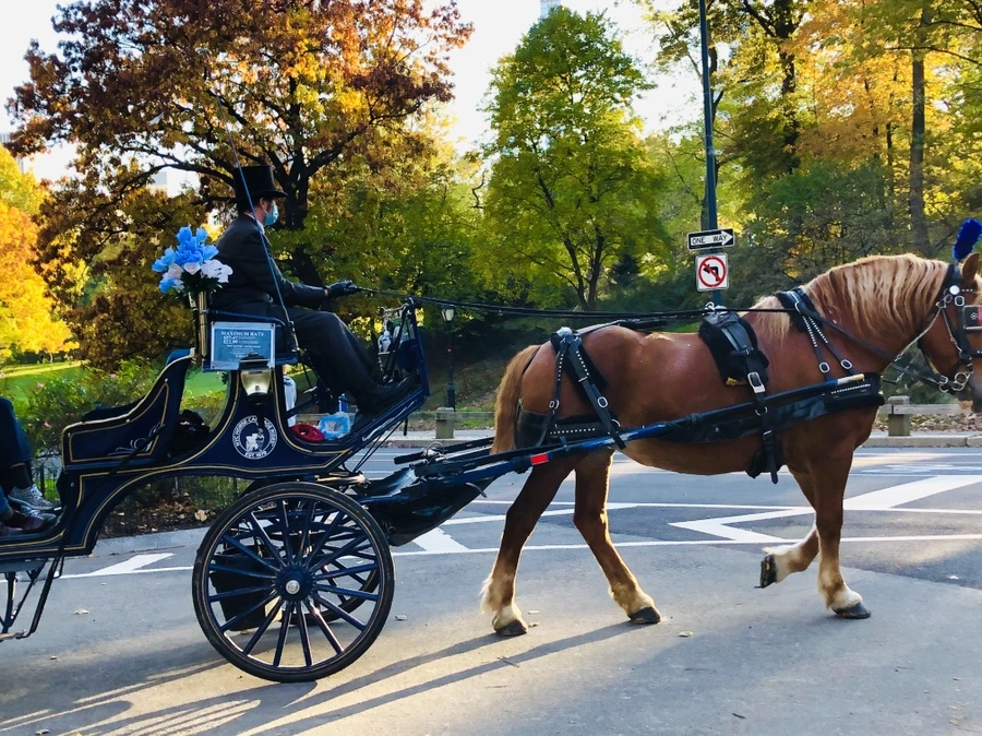 IMG_3621.jpg?type=w966