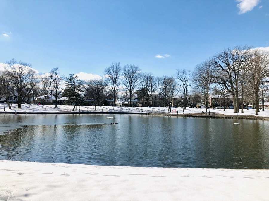 IMG_0457.jpg?type=w966