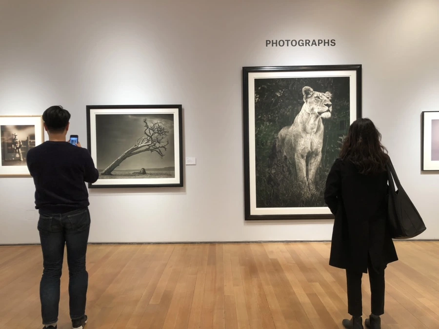 IMG_2192.jpg?type=w966