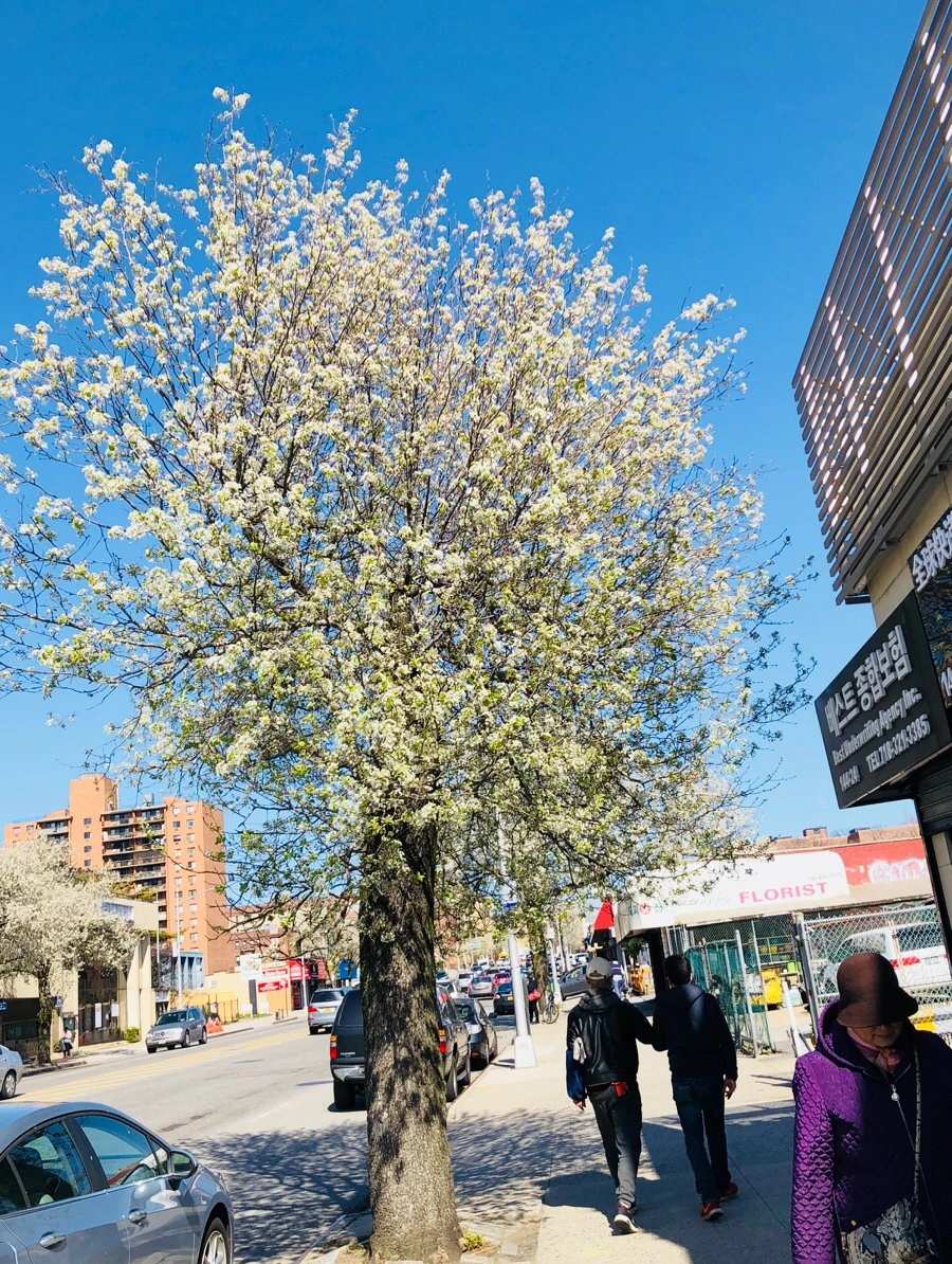 IMG_4599.jpg?type=w966