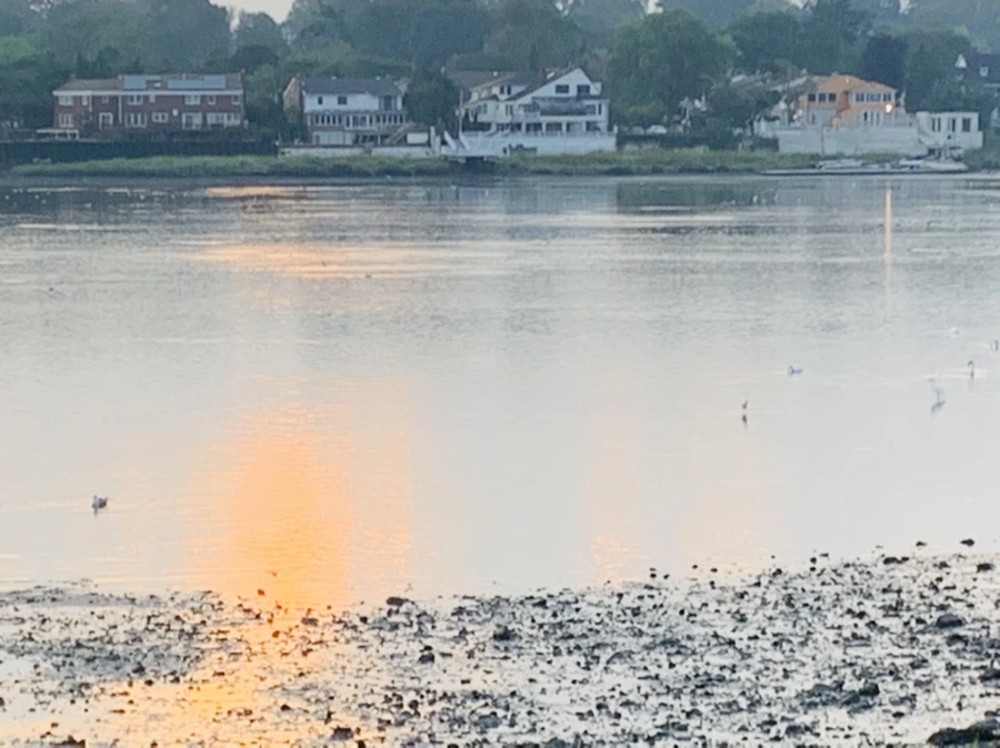 IMG_8200.jpg?type=w966