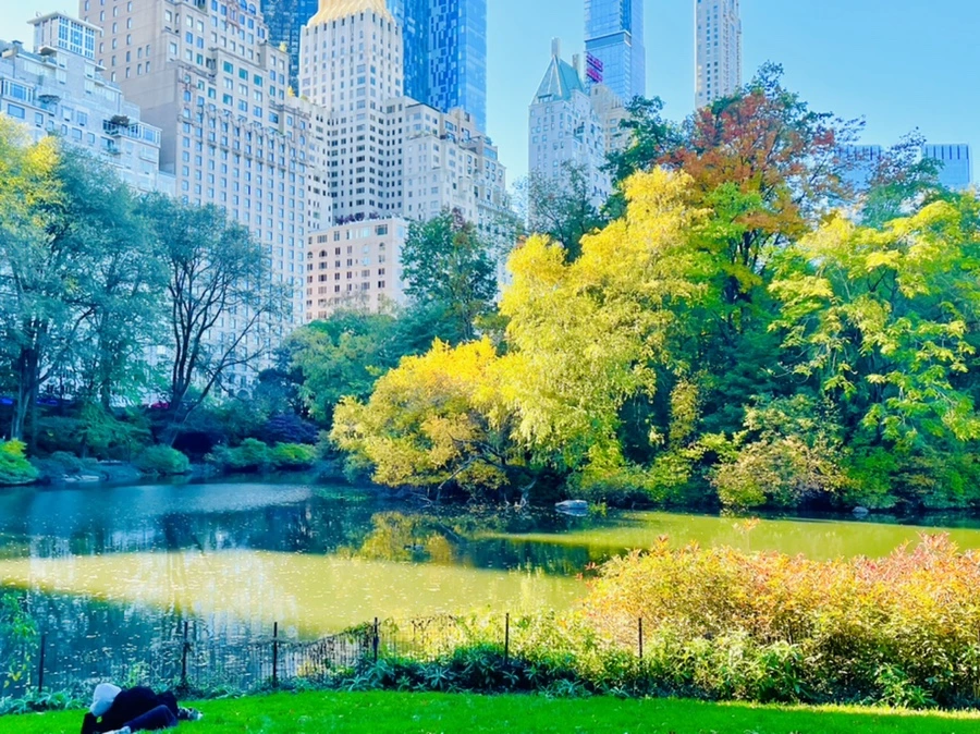 IMG_0664.jpg?type=w966