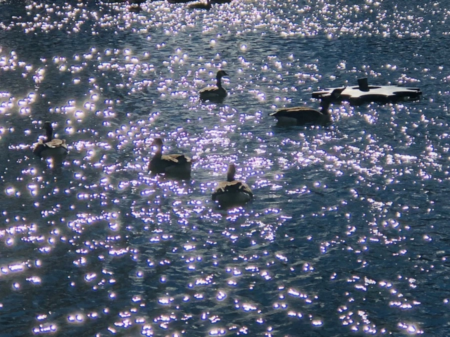 IMG_9191.jpg?type=w966