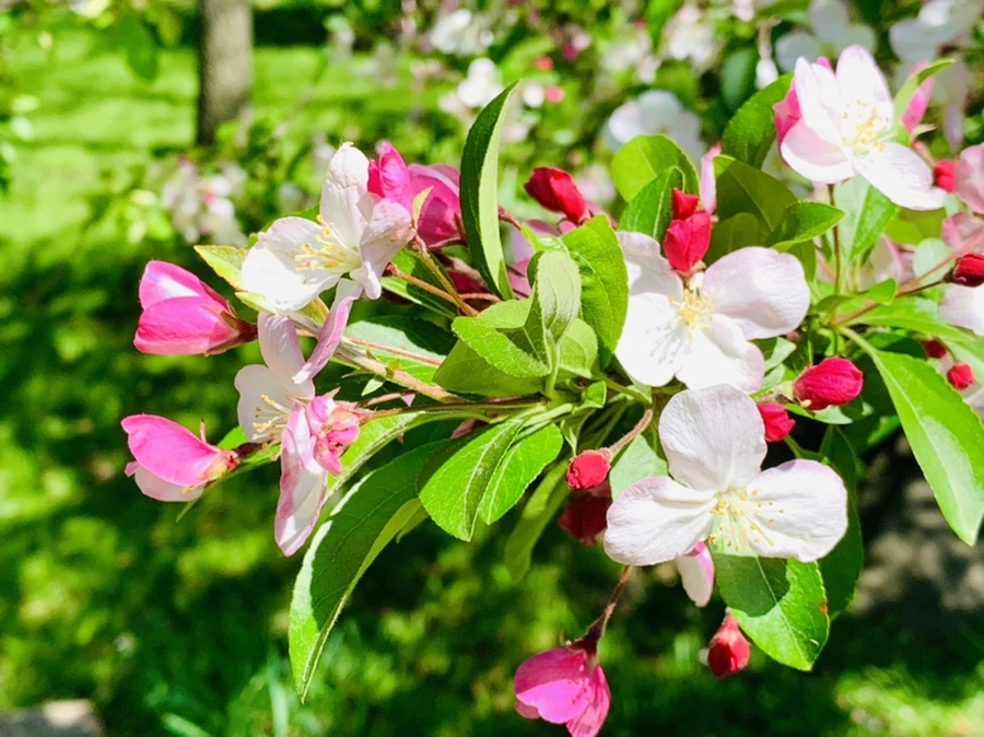 IMG_5719.jpg?type=w966