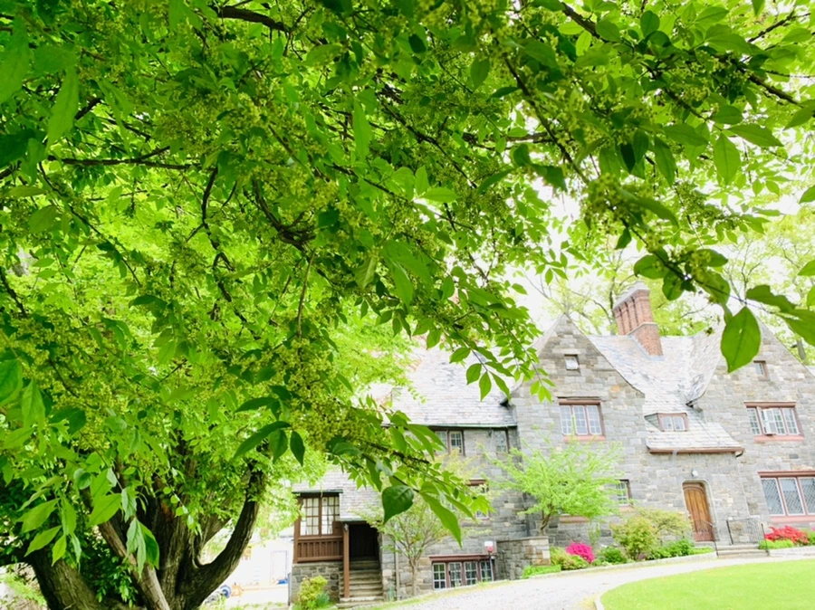 IMG_0883.jpg?type=w966