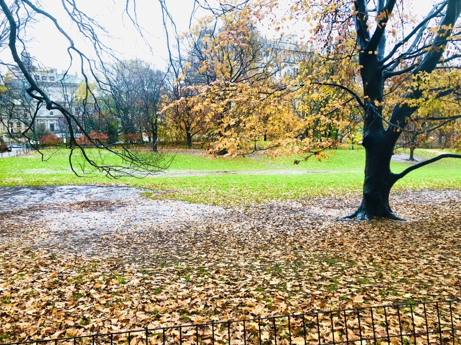 IMG_5744.jpg?type=w966