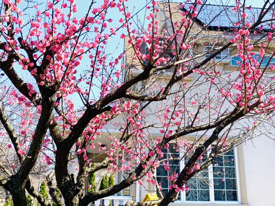 IMG_2988.jpg?type=w966