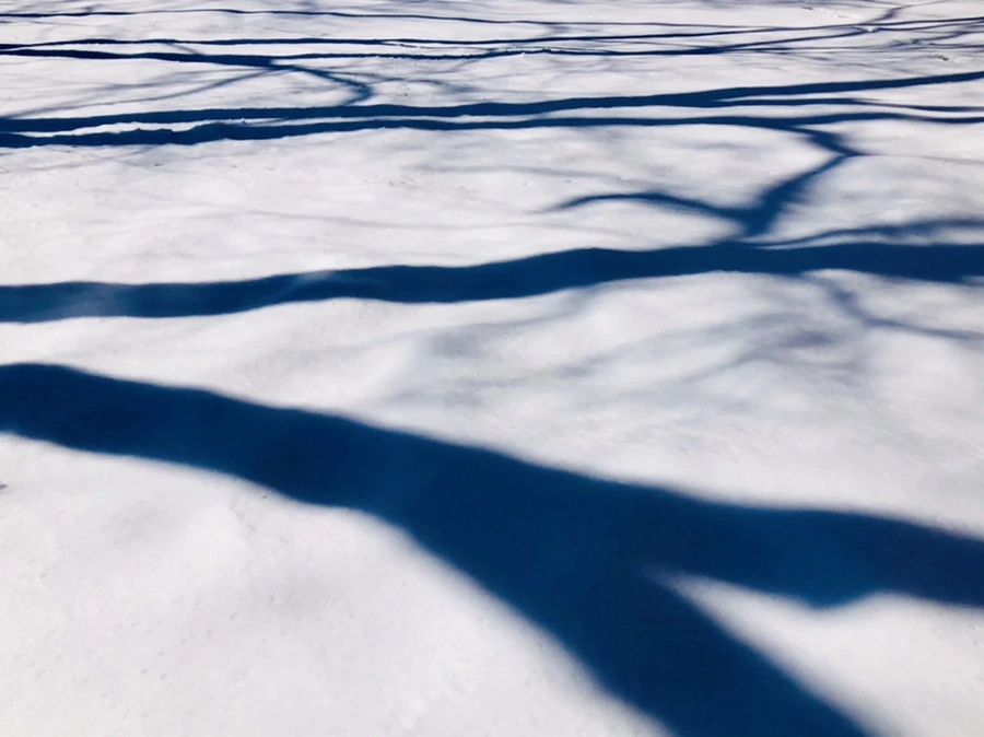 IMG_4013.jpg?type=w966