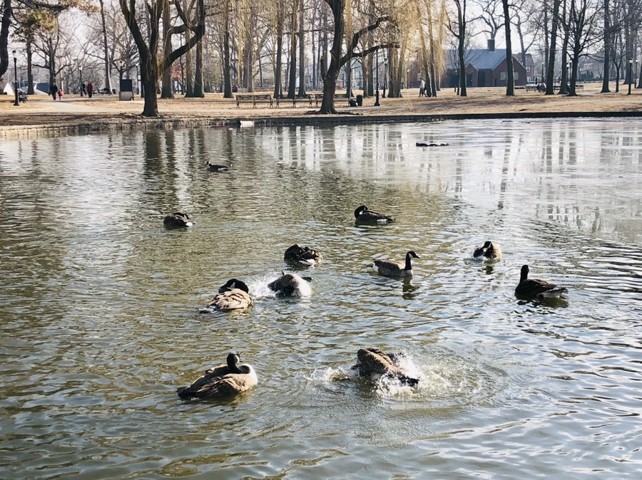 IMG_9256.jpg?type=w966