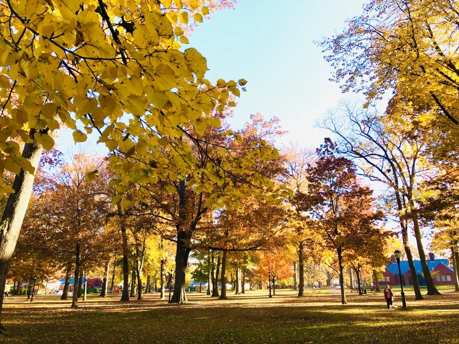 IMG_4078.jpg?type=w966