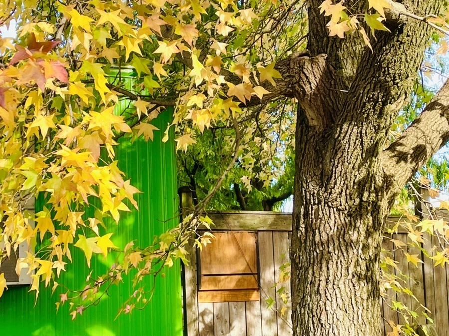 IMG_1020.jpg?type=w966