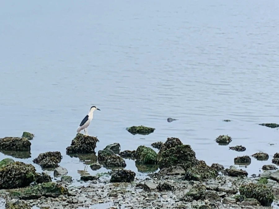 IMG_4792.jpg?type=w966