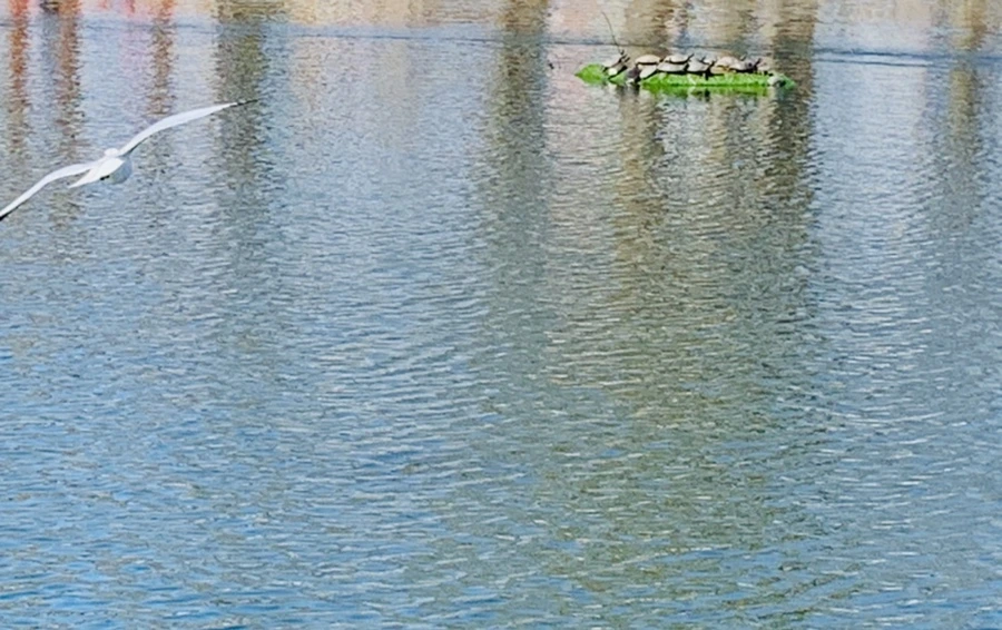 IMG_9277.jpg?type=w966