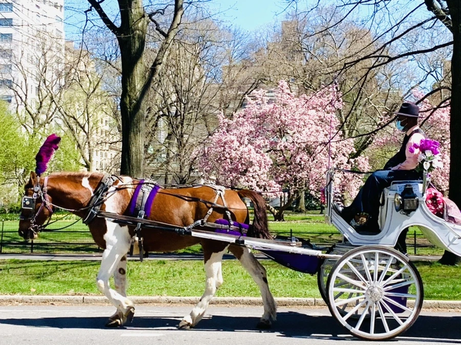 IMG_1695.jpg?type=w966