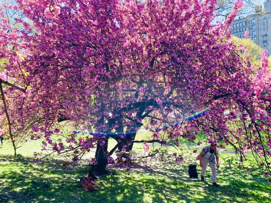 IMG_5942.jpg?type=w966