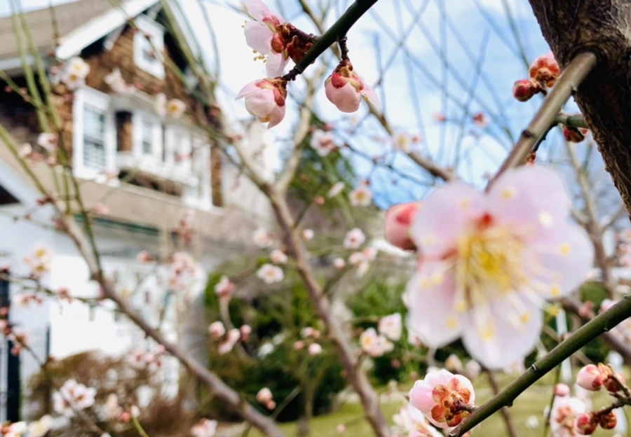 IMG_0479.jpg?type=w966