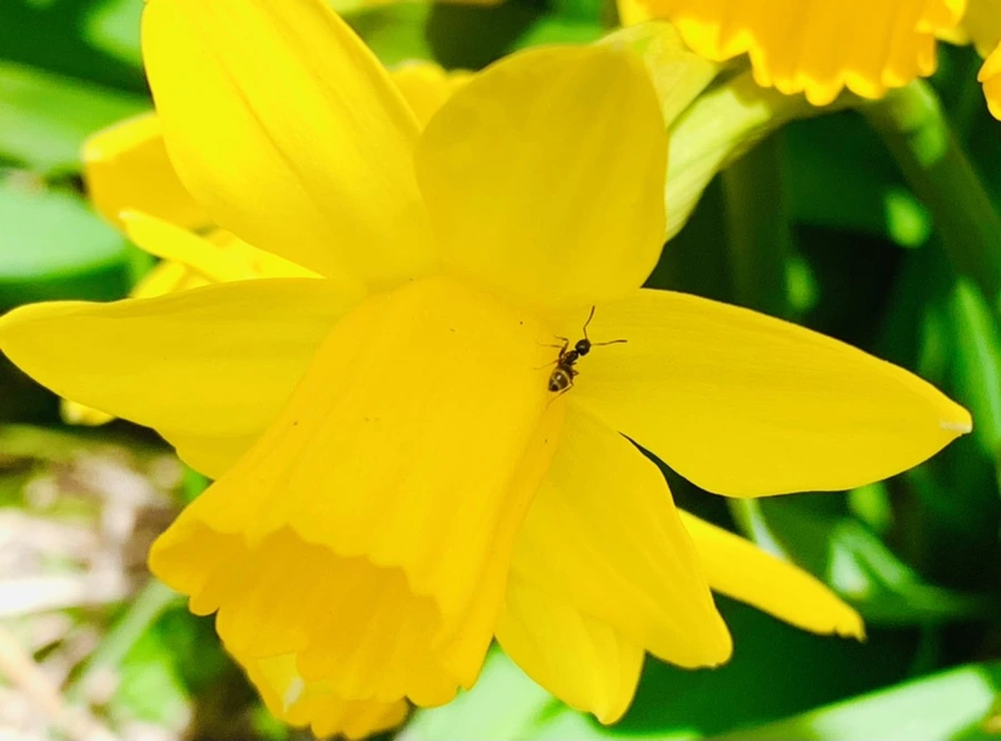 IMG_3390.jpg?type=w966