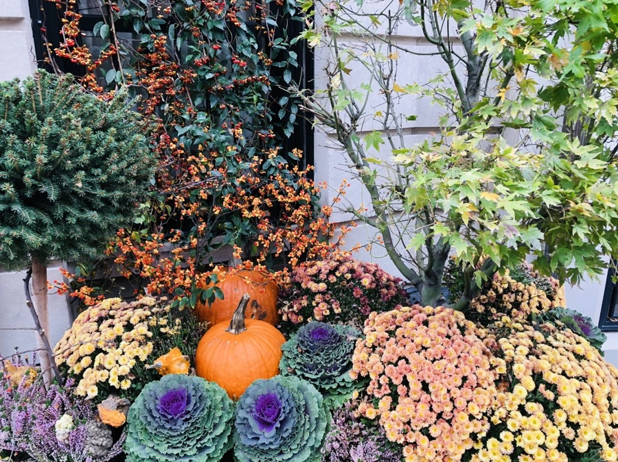 IMG_4896.jpg?type=w966